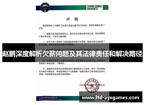 赵鹏深度解析欠薪问题及其法律责任和解决路径
